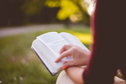 Person liest ein geöffnetes Buch im Freien vor verschwommenem Hintergrund.